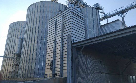 Закупка пшеницы в интервенционный фонд России - AgroExpert.md