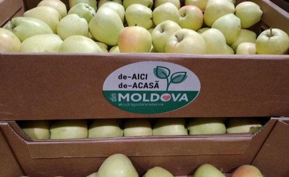 Экспорт фруктов в Россию - AgroExpert.md