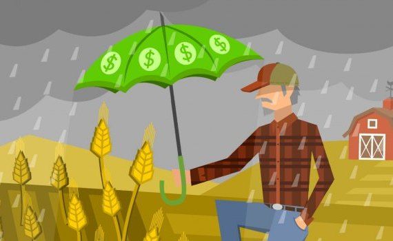Страхование в сельском хозяйстве Молдовы - AgroExpert.md