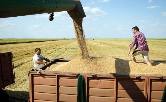 Bursa cerealelor - AgroExpert.md