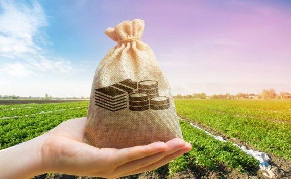 Агрострахование в Молдове - AgroExpert.md