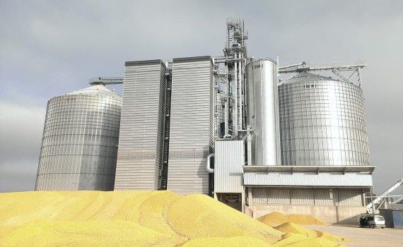 Preturi la cereale - AgroExpert.md