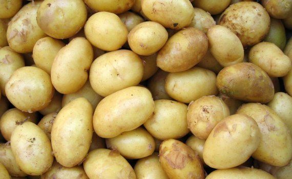 Цена на картофель в Молдове - AgroExpert.md