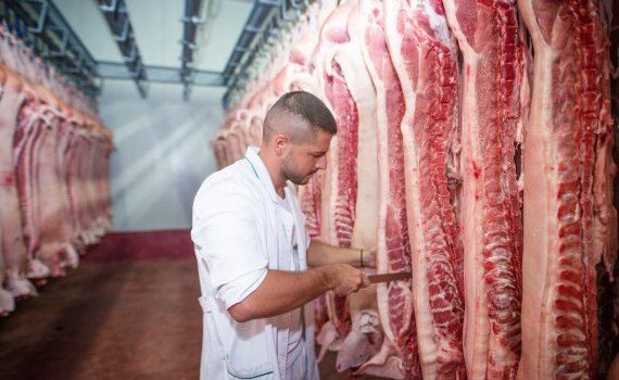 Мясная промышленность Молдовы - AgroExpert.md