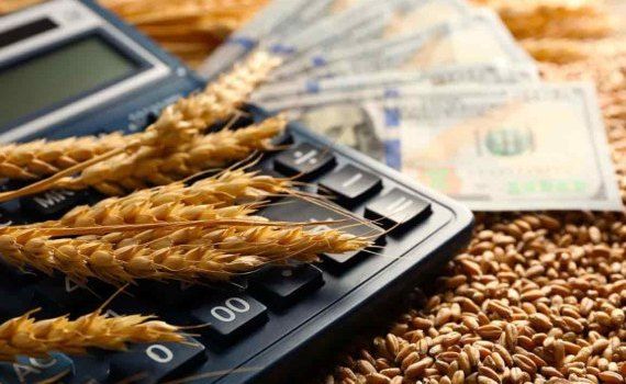 Министр обещает фермерам выплату субсидий до конца июля - agroexpert.md
