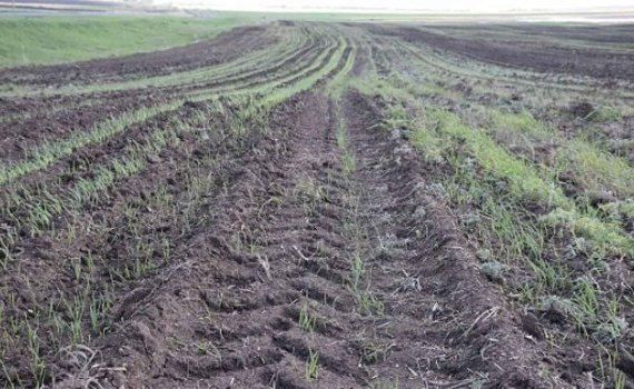 Ученые научились прогнозировать воздействие сельхозтехники на почву - agroexpert.md