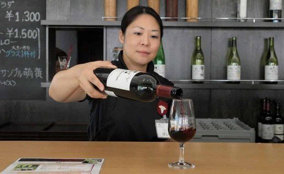 Смогут ли инфлюенсеры вывести молдавские вина на японский рынок? - agroexpert.md