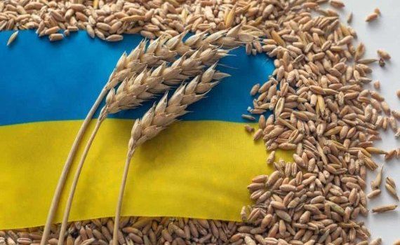 В ЕС продолжается дискуссия по продлению ограничений на украинский импорт - agroexpert.md