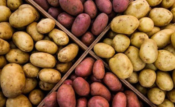 В Молдове начал дешеветь картофель, причина – поставки из Украины - agroexpert.md