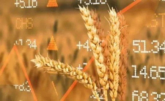 Цены на зерно продолжат падать – аналитики пессимистичны - agroexpert.md