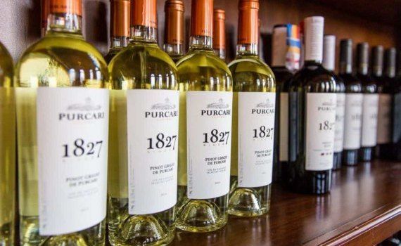Винодельни Purcari Wineries могут похвастаться высокой прибылью и урожаем - agroexpert.md