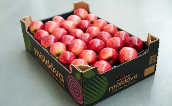 В Молдове сильно снижена оценка производства яблока в 2023 году - agroexpert.md