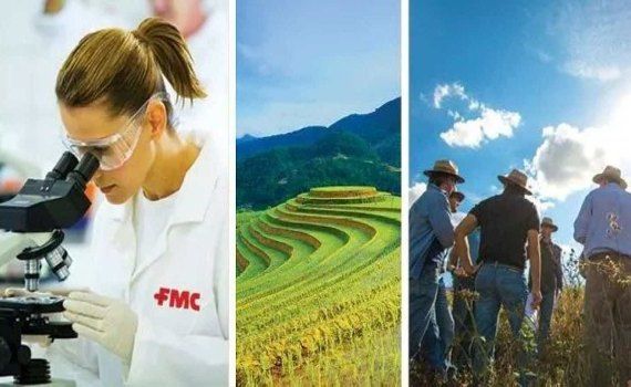 FMC выпускает новый премикс инсектицидов/биофунгицидов - agroexpert.md