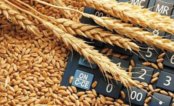 Мировой зерновой рынок в 2023-2024 маркетинговом году: краткий обзор - agroexpert.md