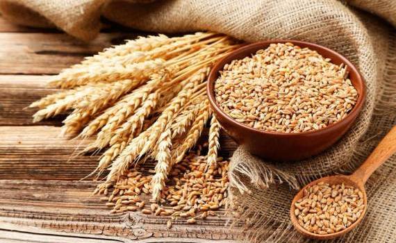Evoluția prețurilor la cereale și oleaginoase - agroexpert.md