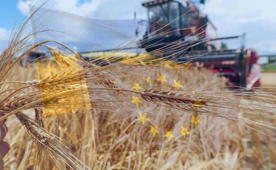 Аграриев ЕС не устраивают поправки к торговому соглашению с Украиной - agroexpert.md