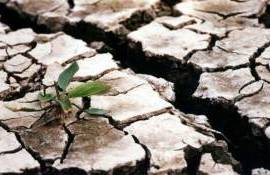 Jumătate din terenurile agricole ar putea fi afectate de secetă în următorii ani - agroexpert.md