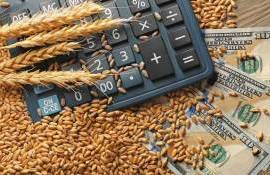 Цены пшеницы и кукурузы на СВОТ достигли максимума за последние две недели - agroexpert.md