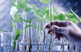 С чего следует начинать при переходе на биотехнологии - agroexpert.md