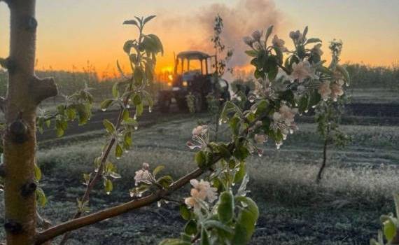 В Украине майские заморозки существенно повлияли на плодоовощные насаждения - agroexpert.md