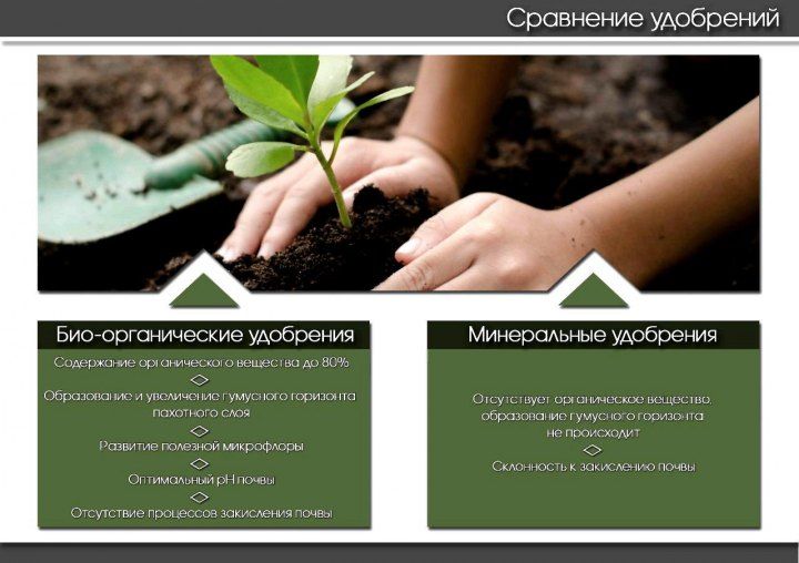 Биомикроорганическое удобрение (Россия)