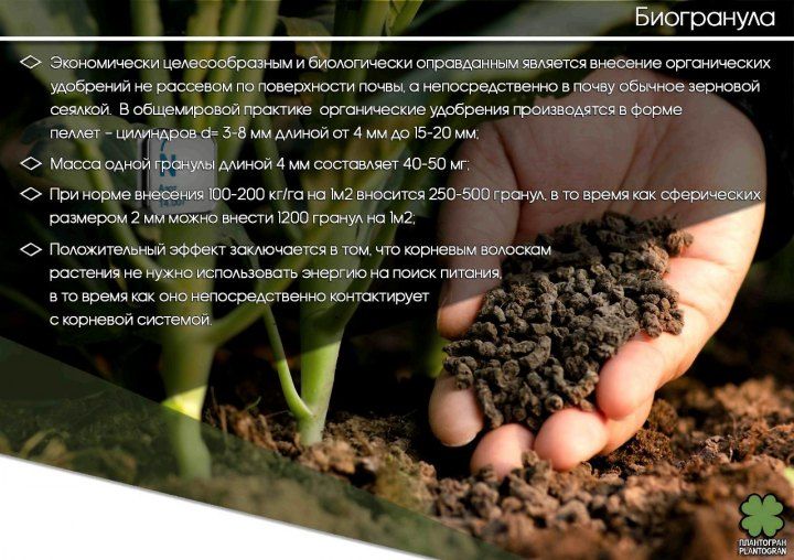Биомикроорганическое удобрение (Россия)