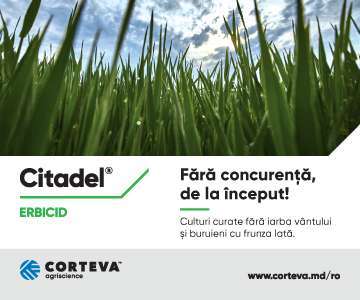 C2 Corteva Citadel 08.10.2024-31.12.2024