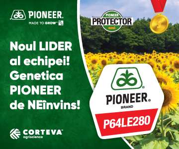 D1 Corteva Pioneer P64LE280 11.12.2024-01.05.2025