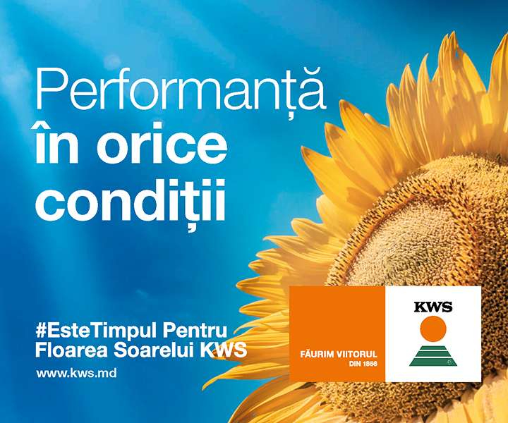 D1 KWS Floarea-soarelui 05.02.26-05.04-26