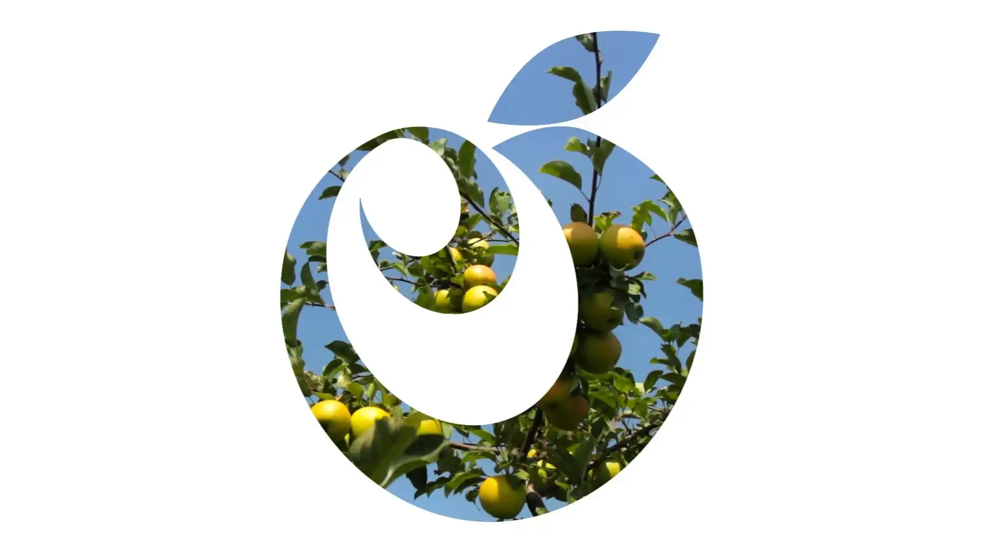 T.B.Fruit получила €30 млн EBITDA
