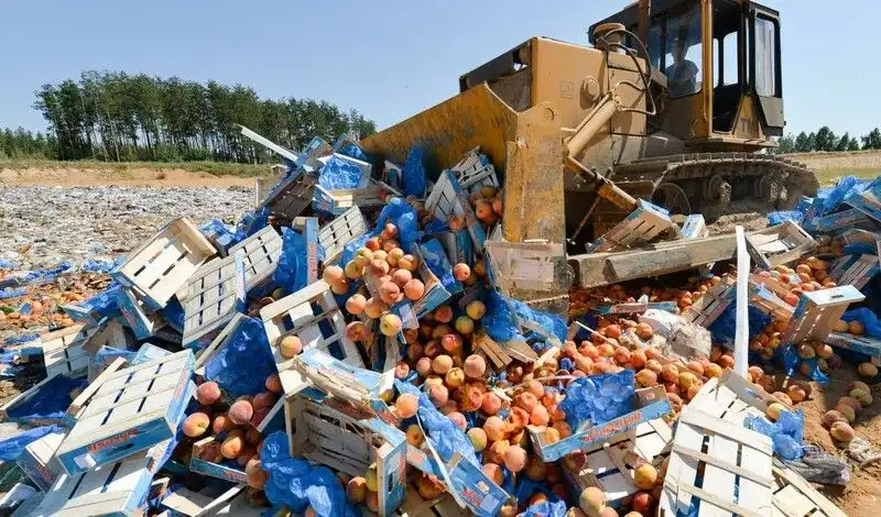 Россия продлила продовольственное эмбарго до конца 2021 года