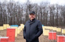 Un început de an deloc caracteristic pentru apicultorii din Moldova
