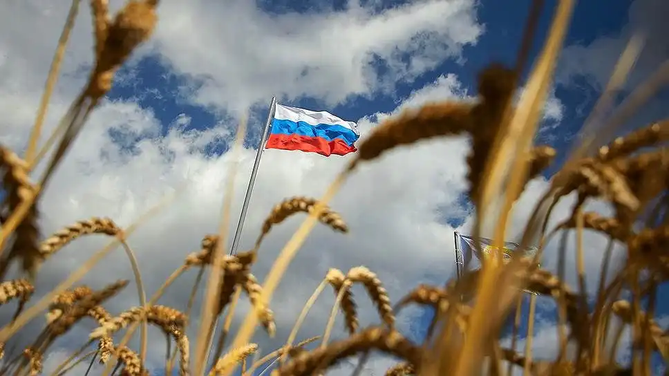 Экспортная пошлина на российскую пшеницу может быть существенно повышена