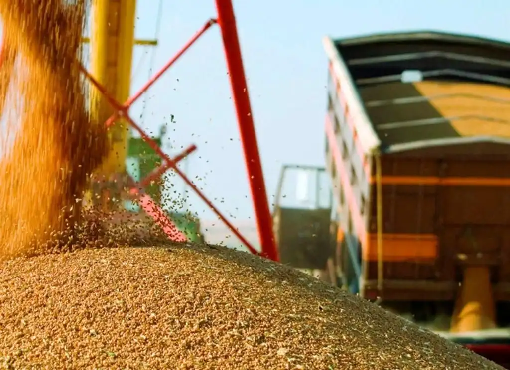 Strategie Grains повысил прогноз урожая пшеницы в ЕС в 2021/22 МГ