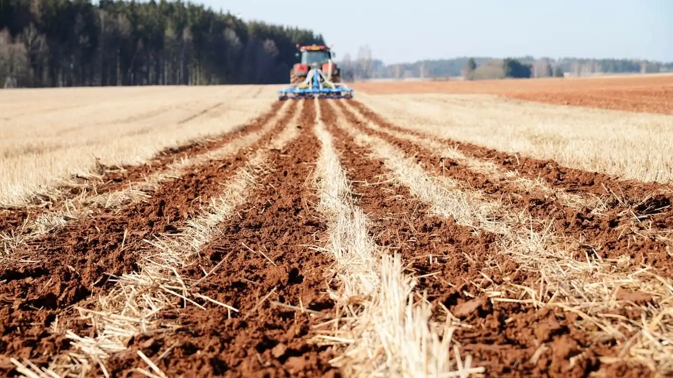 No-till, Strip-till или Mini-till: что лучше для экологии и продуктивнее для агрария?