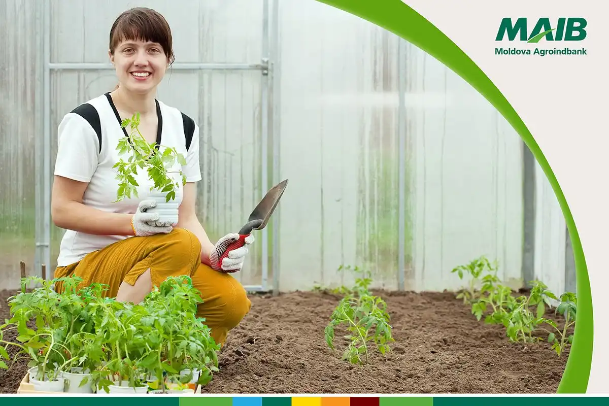 Credite atractive de la Moldova Agroindbank pentru producătorii agricoli