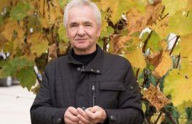Георге Габерь: «Конструкции виноградника типа Pergola должны быть рассчитаны с большим запасом прочности»