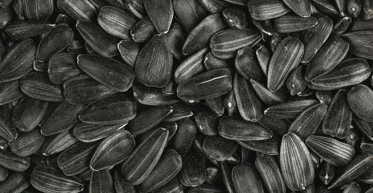 Nuseed® — dincolo de randamentul agronomic