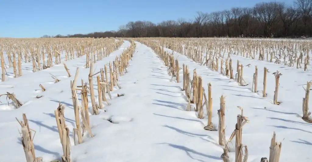 Одна из важных причин перейти на No-till
