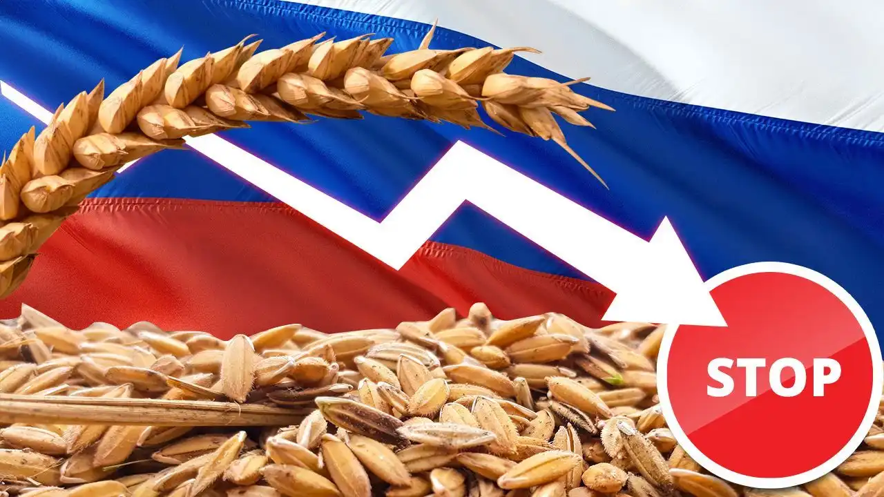 Экспортные цены на пшеницу РФ снизились на прошлой неделе вслед за мировыми