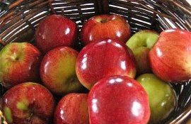 Pomicultorii solicită ca soiurile noi de fructe să fie incluse în Catalogul național