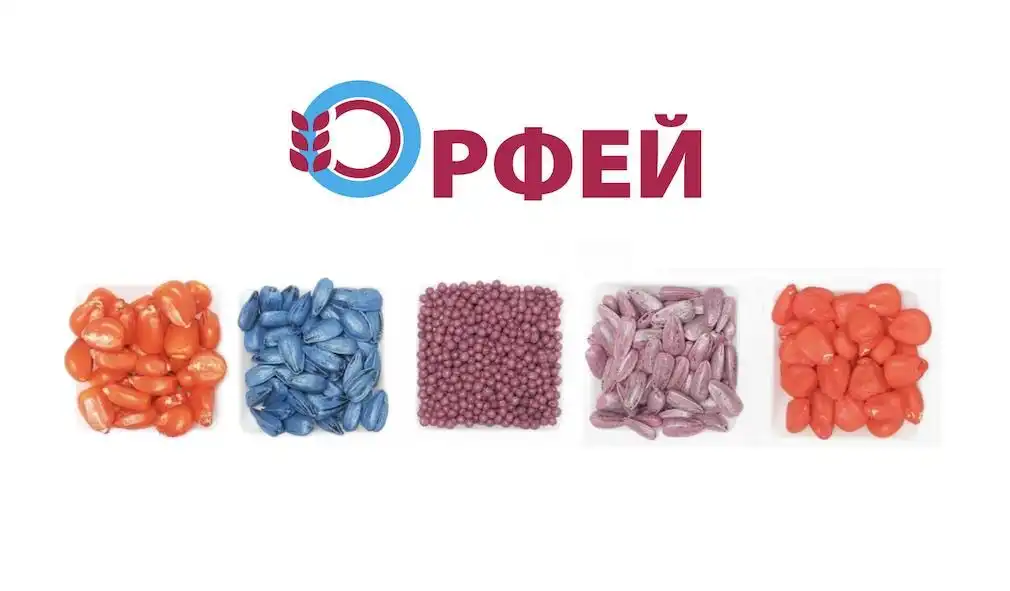 Обработайте семена кукурузы и подсолнечника инсектицидом OРФЕЙ