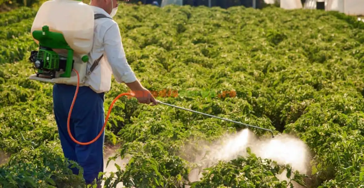 64% din terenurile agricole globale sunt expuse riscului de poluare cu pesticide