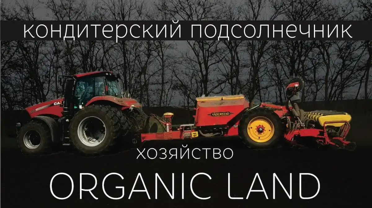 AGROцех: Organic Land посевная кондитерского подсолнечника