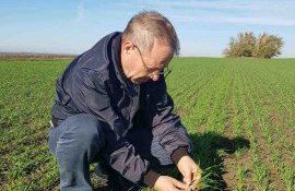 Victor Șterebeț:”După inspectarea loturilor semincere, prognozele sunt pozitive”