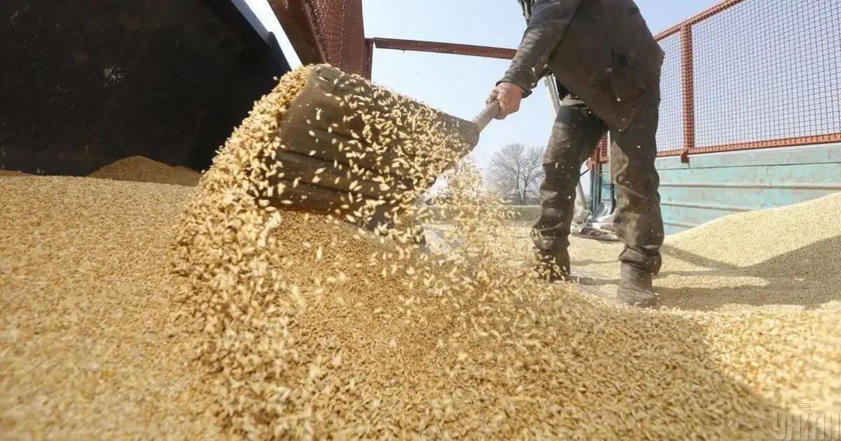 Украина планирует значительное снижение экспорта зерновых и масличных в 2020/2021 МГ