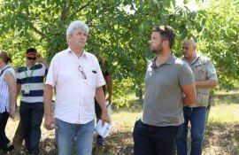 Oleg Tîrsînă:”Prezența expertului Pascal Gouget în livezile producătorilor de nuci din Moldova este o oportunitate rară”