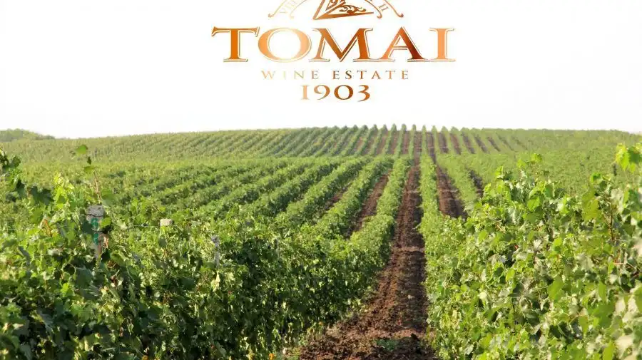 Vinăriă Tomai scoasă cu tot cu podgorii, la vânzare