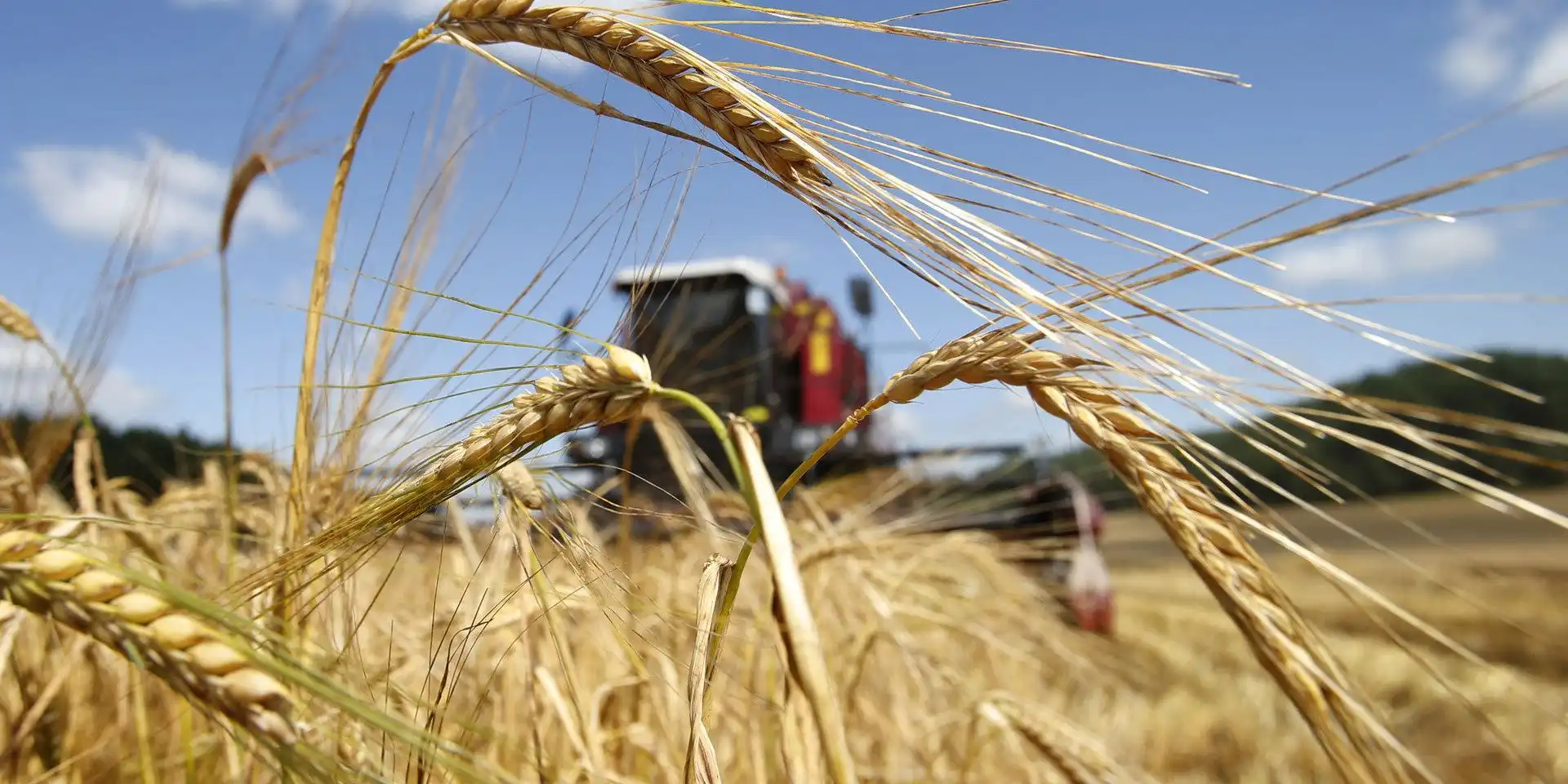За последние 5 лет FAO выделила Молдове $2 млн. на внедрение 15 проектов.