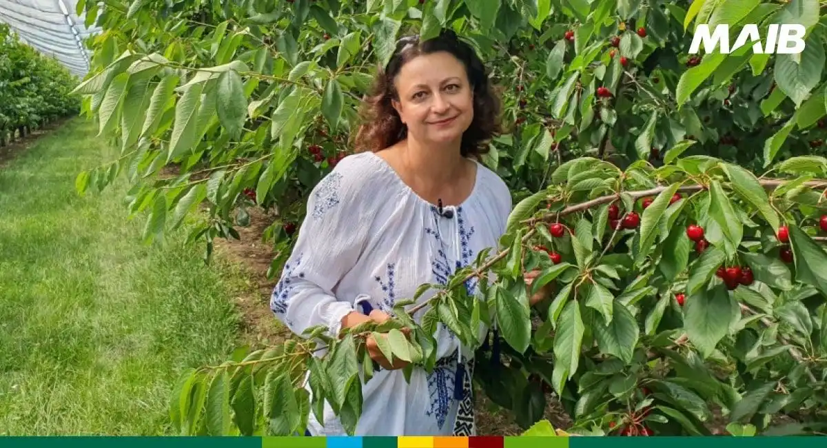 Noutate bună pentru antreprenoare: Finanțare cu grant până la 80% în agricultură și sectoare conexe